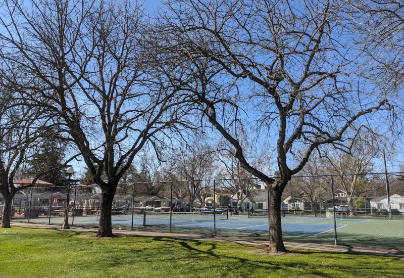 IMG 20200227 111227 MP